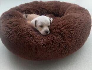 Pet Dog Bed Comfortable Donut Cuddler Round Dog Kennel Ultra Soft Washable Dog and Cat Cushion Bed Winter Warm Sofa hot sell2810